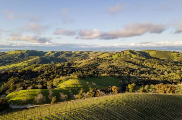 Hidden Treasures of the DAOU Wine Dinner